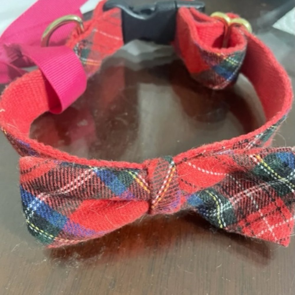 Small Dog Collar